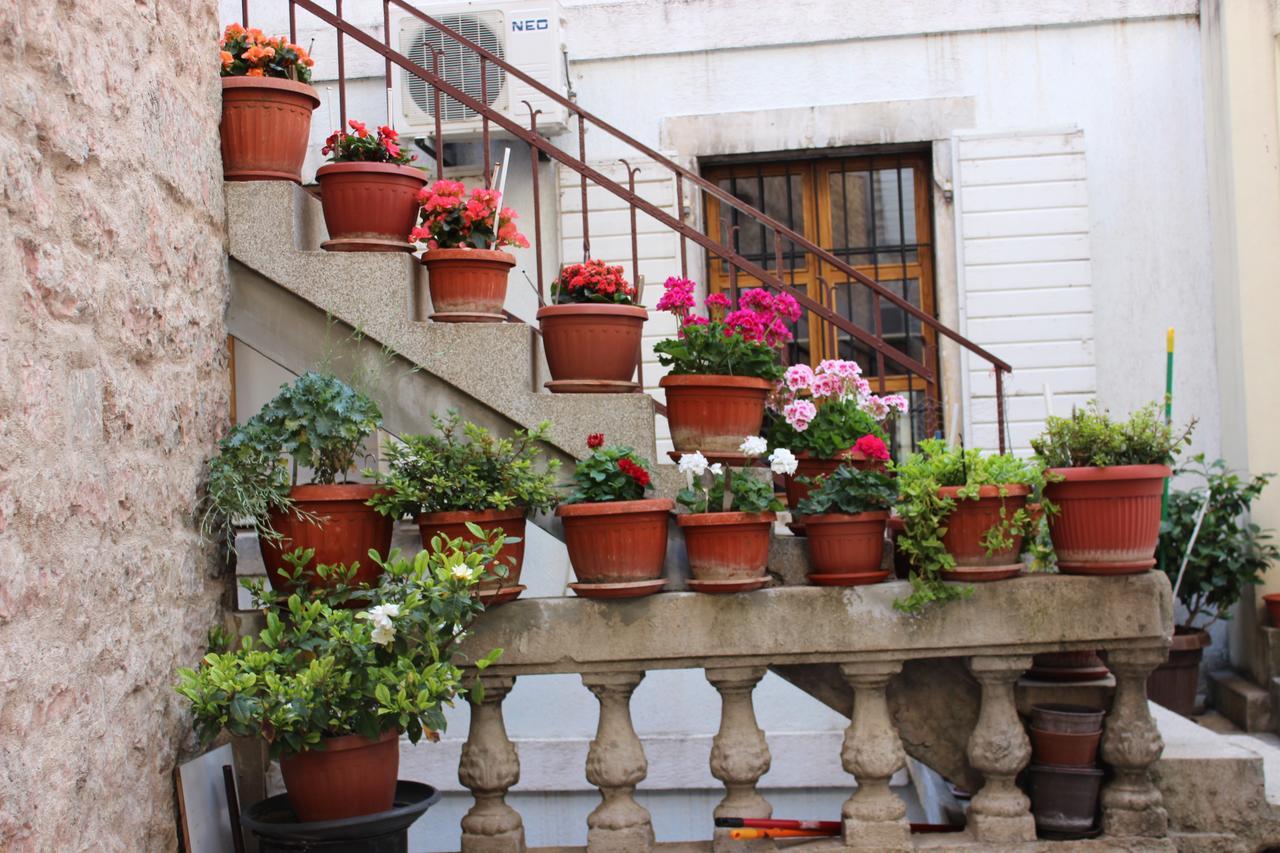 Dudic Apartment Budva